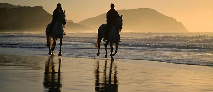 Two horse back riders on the beach at sunset.