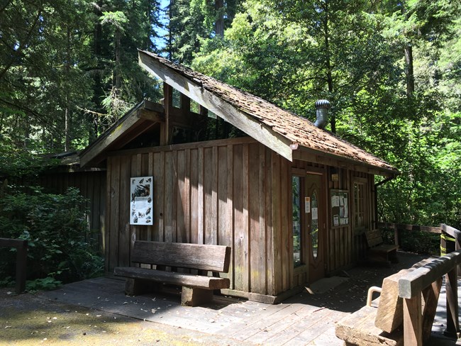 Brown wooden building in a forest