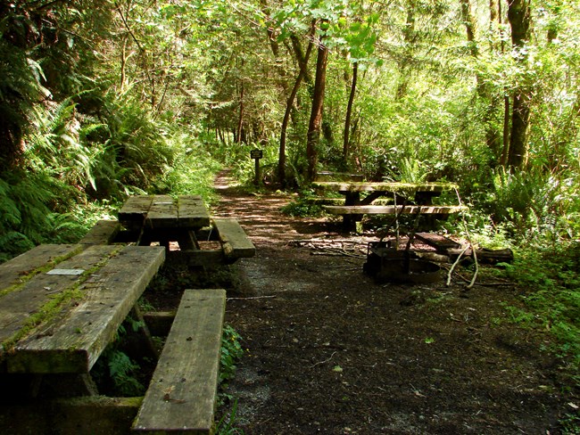 Picnic tables and fire pit