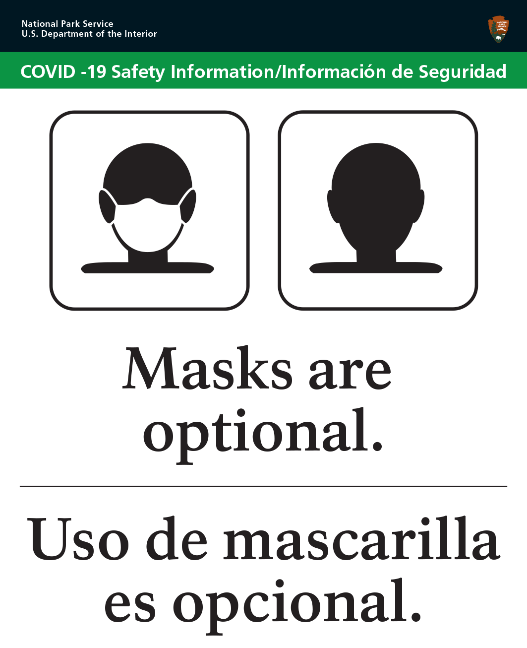 Mask optional text and image of a face