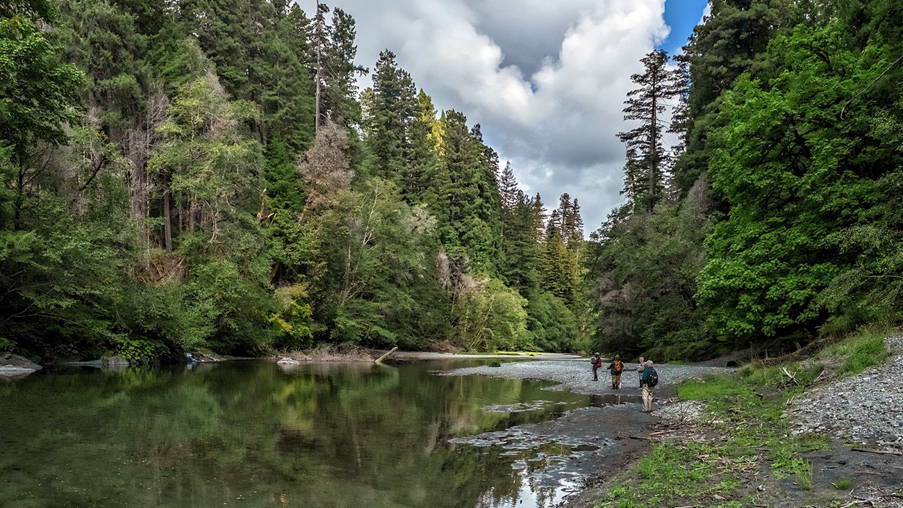 A river flows through the forest. Hikers seen in the background.