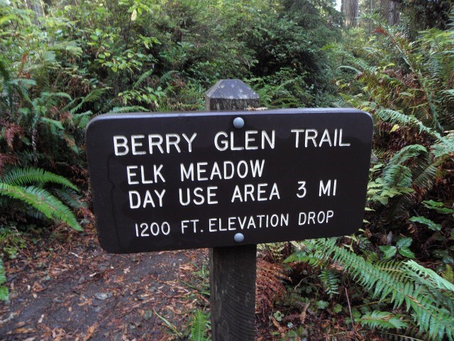 Berry Glen trail sign against forest background