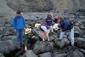 A group of six people walk among rocks and tide-pools with a park ranger on a ranger-led program.