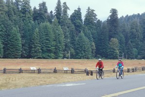 Bicycling Prairie Creek Redwoods State Park.
