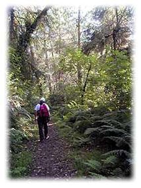 Hiker walking along the Coastal Trail.