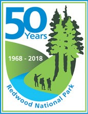 50th anniversary logo 50th anniversary logo