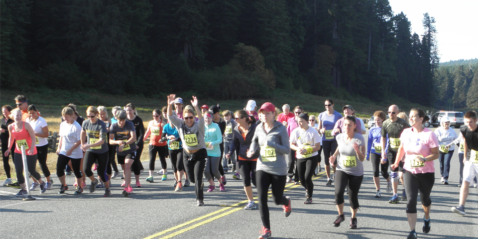 Runners at the start of a 5 km fun run