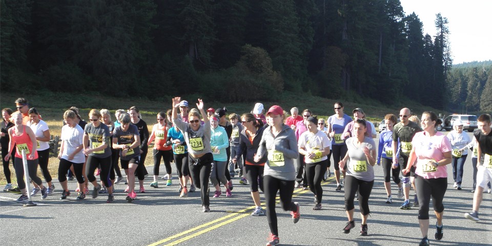 Runners at the start of a 5 km fun run