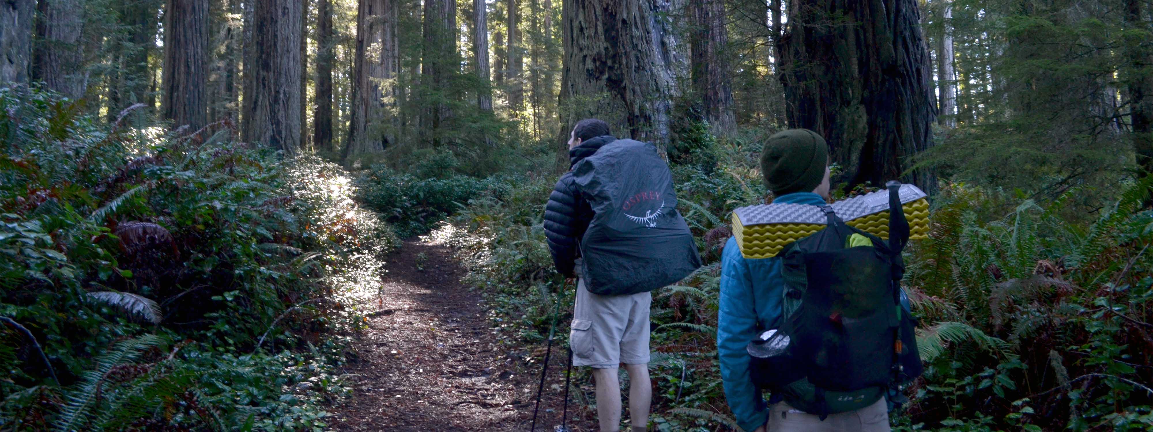 Backcountry Camping Redwood National And State Parks Us - 