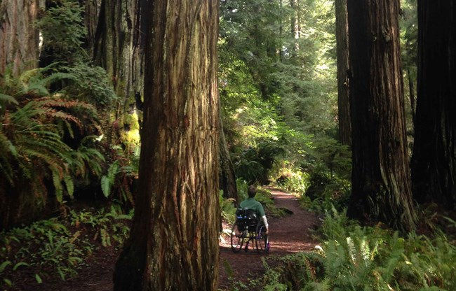 A woman in a wheelchair on a trail.