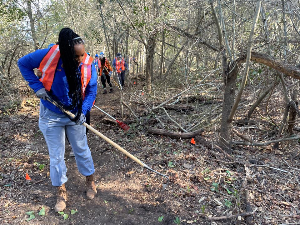 An African American woman in a blue shirt and orange vest uses a rake to clear a trail during a volunteer work project