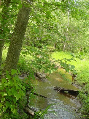 Richmond National Battlefield Park