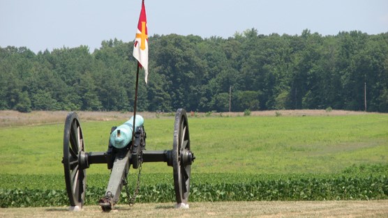 Bronze cannon with battery flag