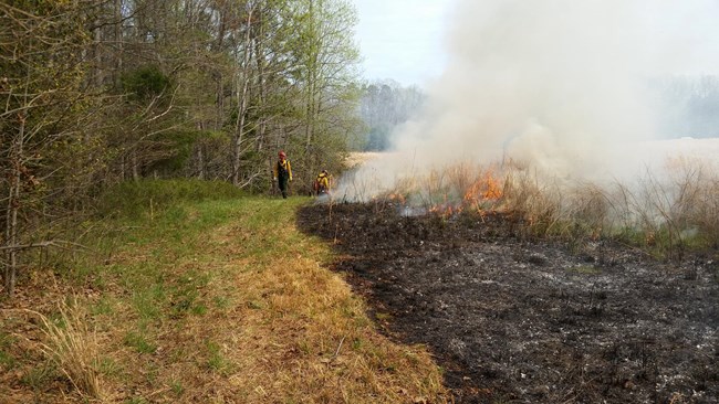 A firefighter walking next to a field on fire during a prescribed burn.
