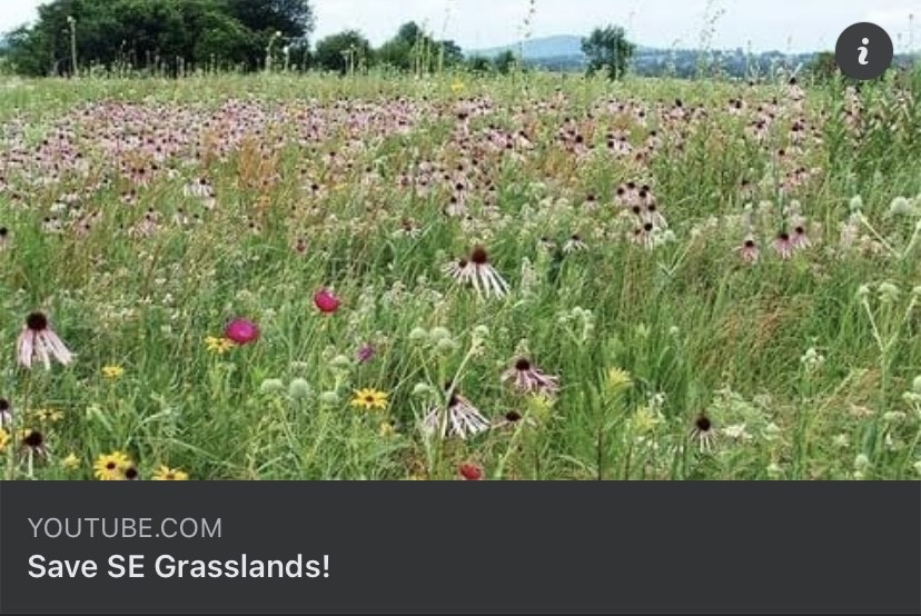 Prairies and Grasslands - Richmond National Battlefield Park (U.S. National Park Service)