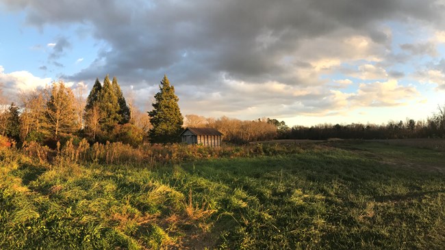 A wide shot of an open field landscape with a wooden structure in the distance.