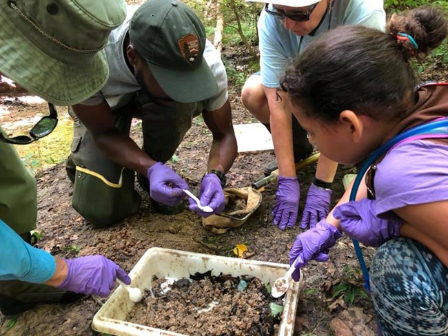A group of volunteers crouched down next to a ranger looking at a dragonfly larvae.