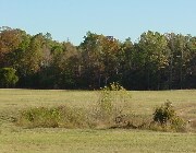 Grasslands Grasslands