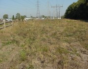 Native meadow Native meadow