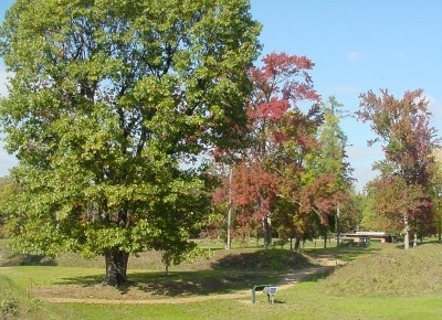 Autumn at the Fort Harrison interpretive trail Autumn at the Fort Harrison interpretive trail