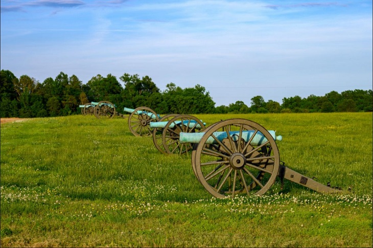 Malvern Hill Five weathered brass cannons on a grassy slope.