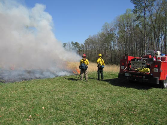 Two rangers monitor a prescribed burn at Malvern Hill in 2006.