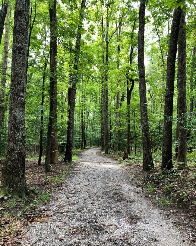 Totopotomoy Creek Trail