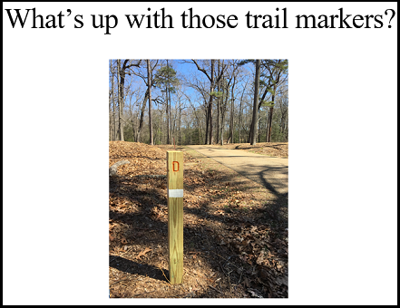 A wooden post at the side of a trail