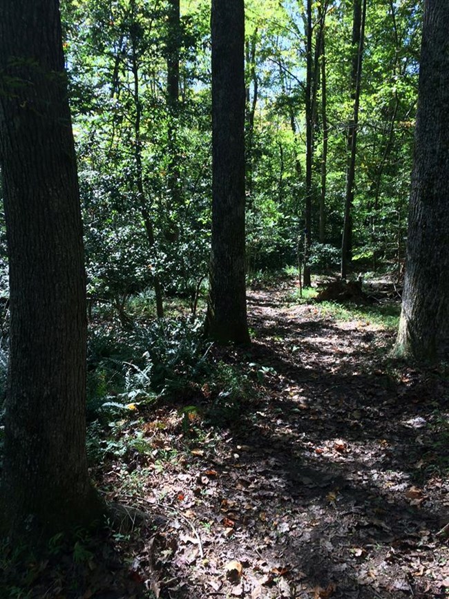 A view of part of the Carter's Farm trail at Malvern Hill. A view of part of the Carter's Farm trail at Malvern Hill.