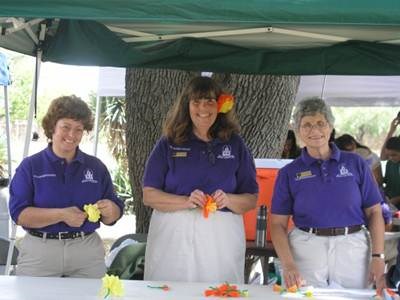 volunteer