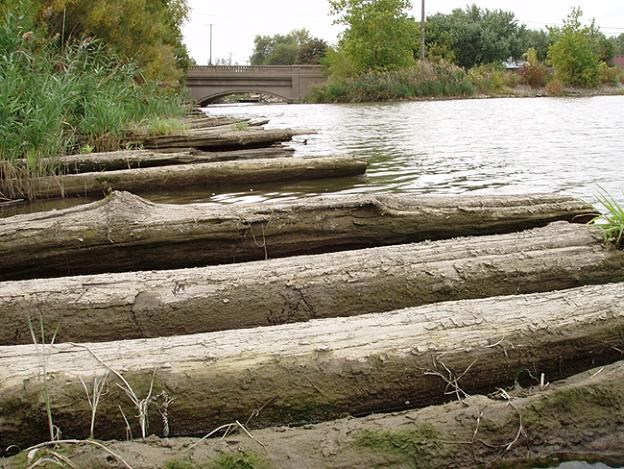 Old Logs at Hull's Trace