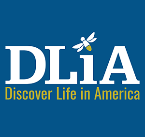 Big, white text that says, "DLiA" and smaller, yellow text that says, "Discover Life in America", all on a blue background. The dot of the lowercase eye is a firefly silhouette.
