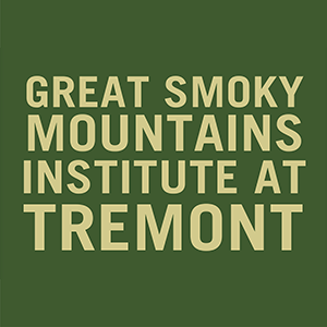 Tan text that reads, "Great Smoky Mountains Institute at Tremont" in all capital letters on a solid green background.