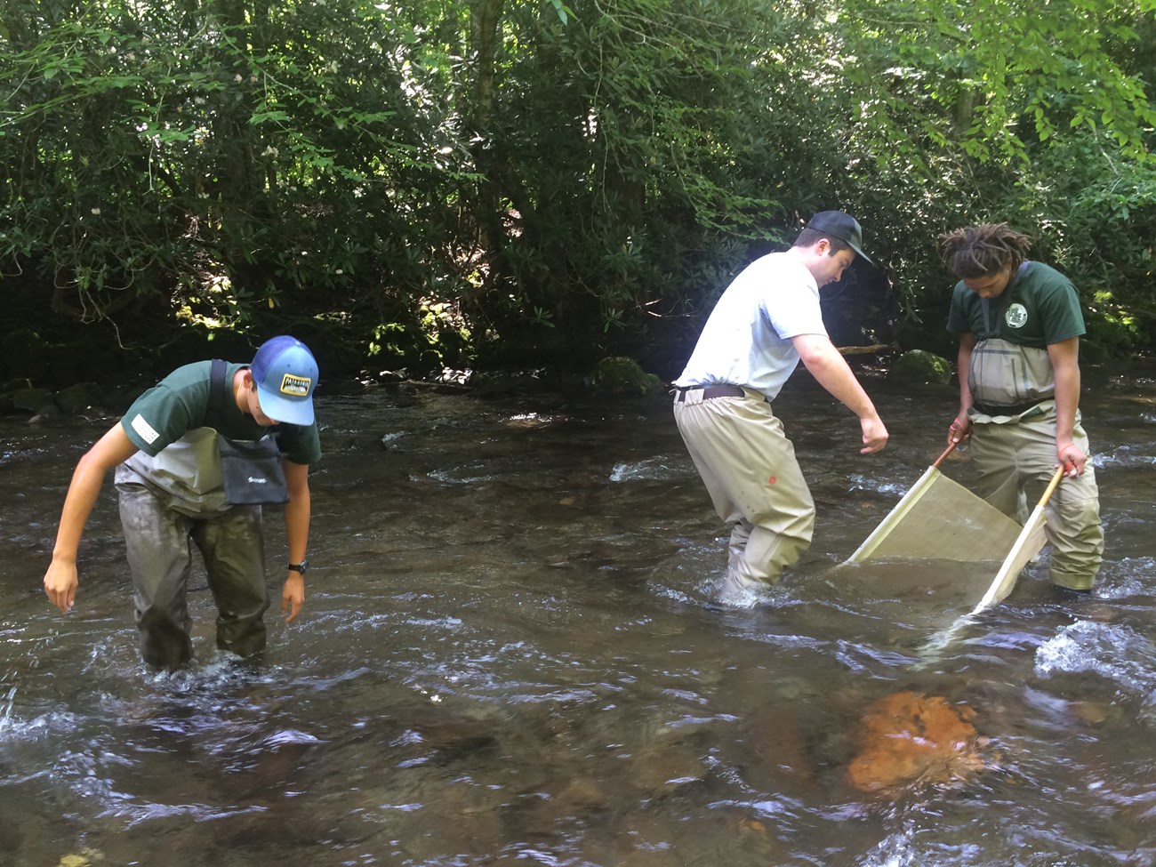 ACE interns performing aquatic sampling in the park.