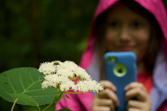 Visitor Using iNaturalist