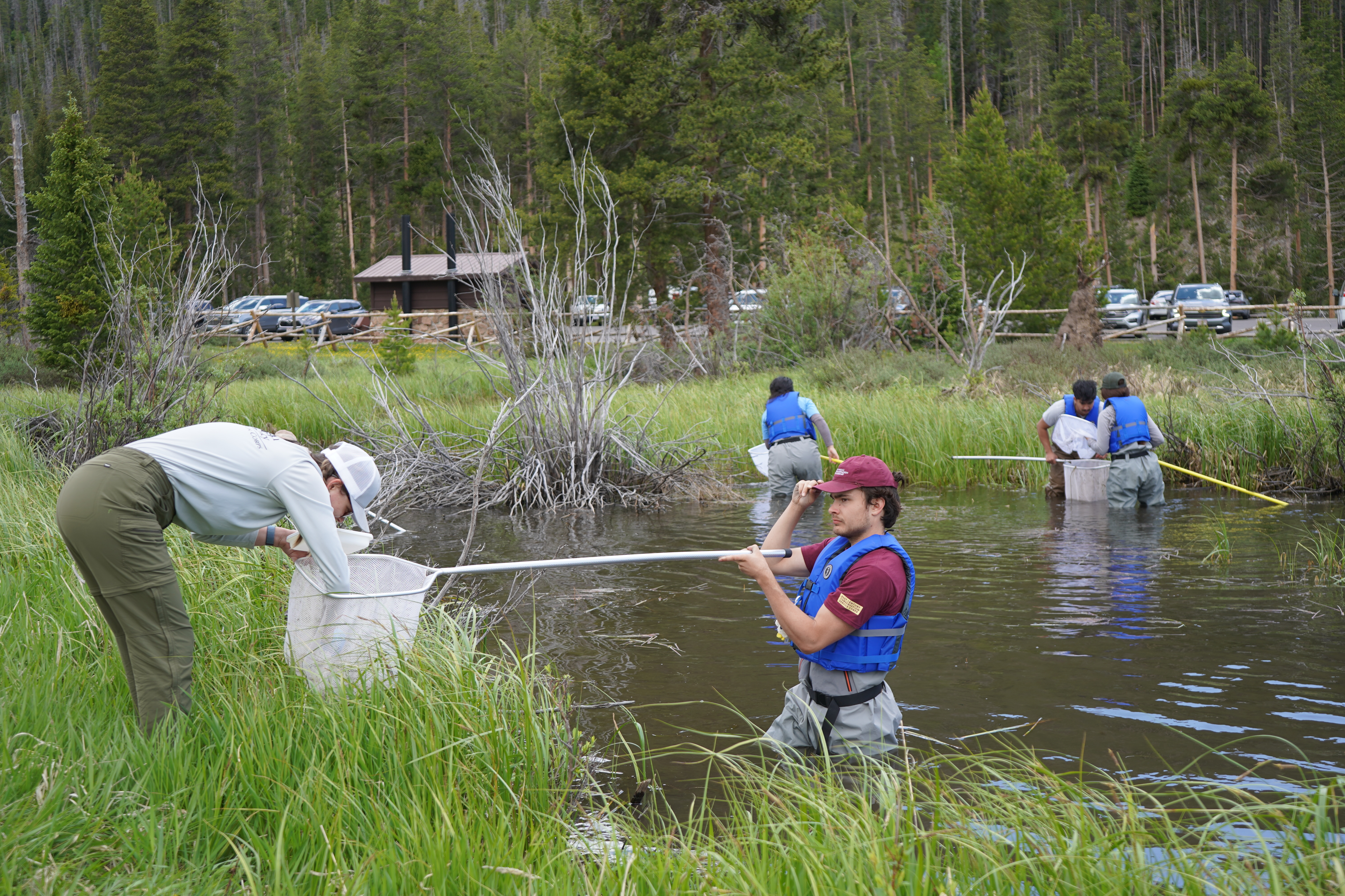 interns in holzworth pond