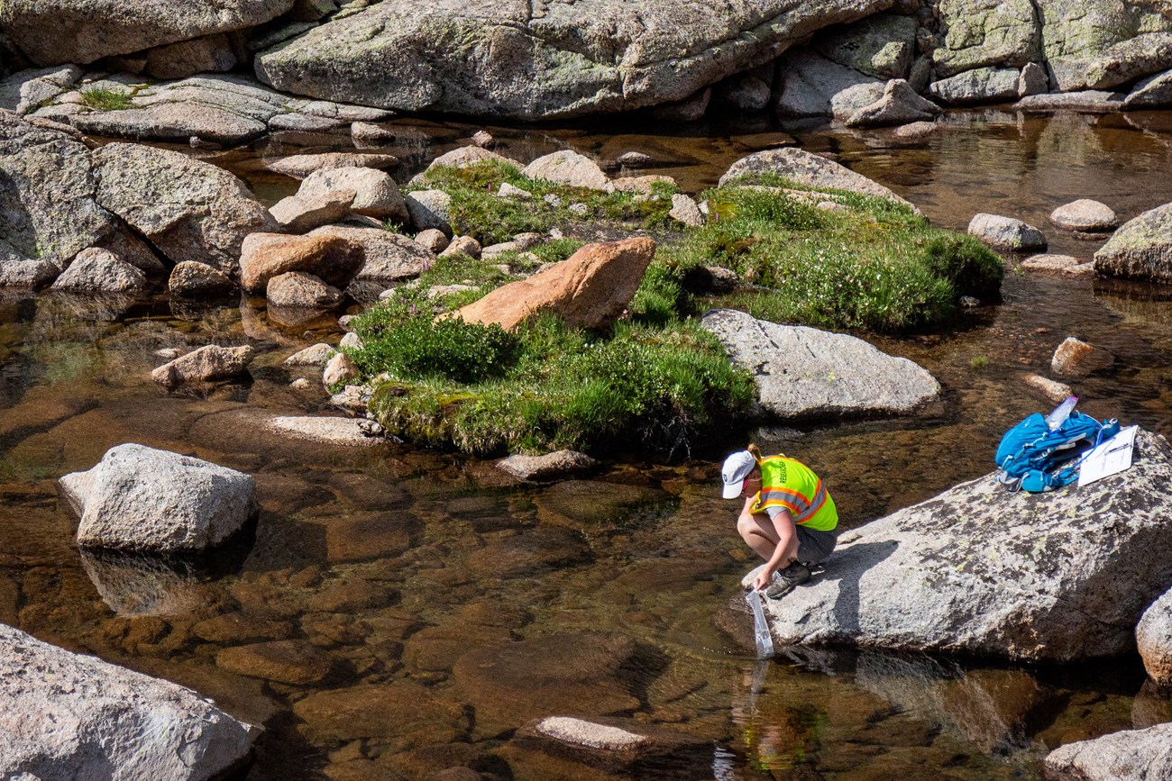 A person in a yellow Research vest kneels on a rock to collect water samples.