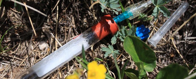 A glass vial absorbs moisture from the soil.