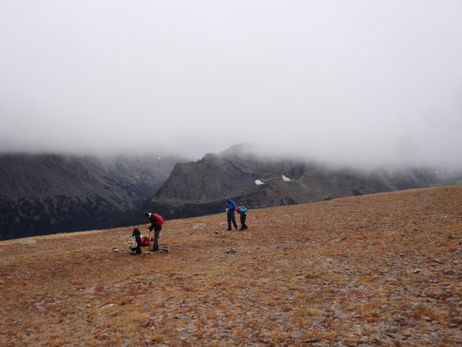 Alpine Soil Samples Alpine Soil Samples