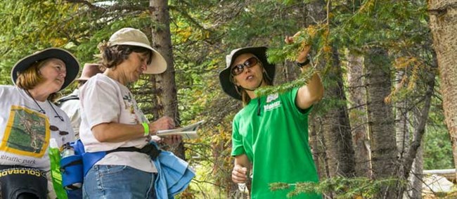 Bioblitz Field Inventory Scientists show visitors a tree.