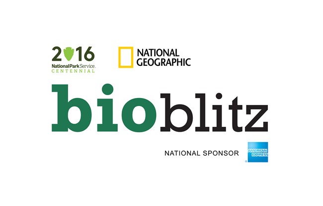 BioBlitz Logo