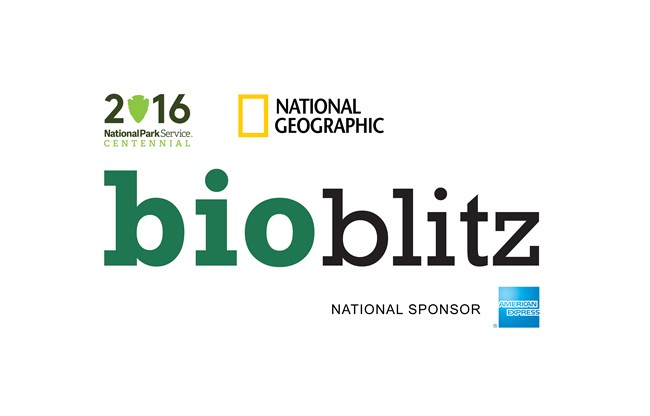 lt= BioBlitz Logo