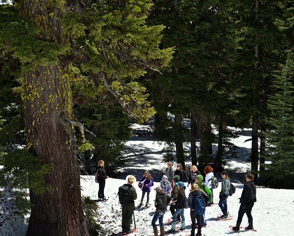 Students explore the mountain hemlock forest of Crater Lake.