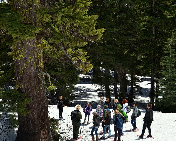 lt= Students explore the mountain hemlock forest of Crater Lake.
