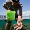 lt= Ranger releasing newts