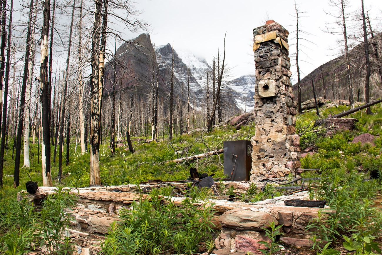 A rock chimney, stone foundation, and metal debris remain in a newly burnt forest.