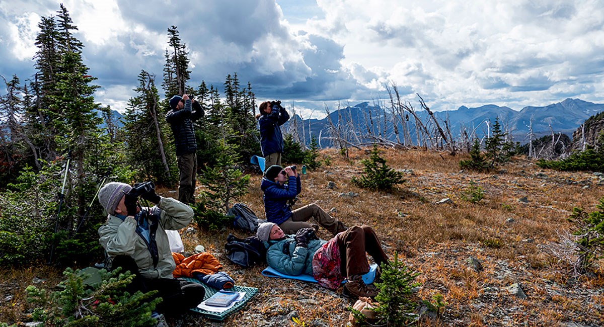 Citizen scientists, sitting in an alpine meadow, scan the sky with binoculars. Citizen scientists, sitting in an alpine meadow, scan the sky with binoculars.