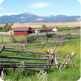 Wooden cattle fences stand in a pasture with a red bard in background.