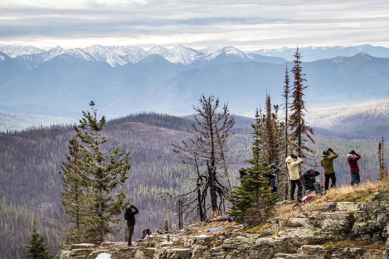 Bundled volunteers stand on a ridge looking up at the sky through binoculars.