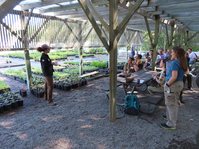 A botanist stands next to potted plants and shares information with a group of volunteers.